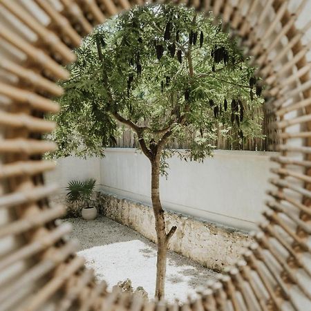 Casa Chimi Tulum Bed & Breakfast Luaran gambar